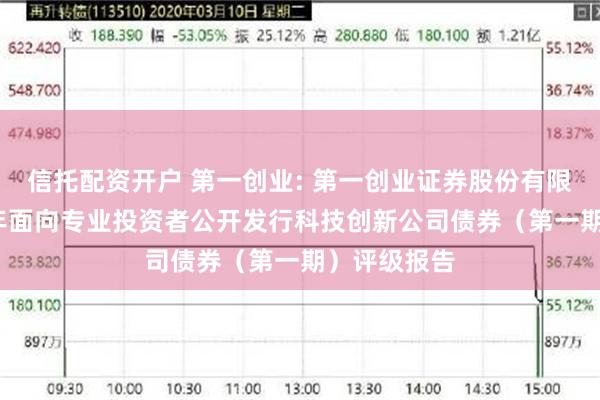 信托配资开户 第一创业: 第一创业证券股份有限公司2025年面向专业投资者公开发行科技创新公司债券(第一期)评级报告