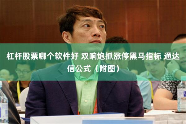 杠杆股票哪个软件好 双响炮抓涨停黑马指标 通达信公式（附图）