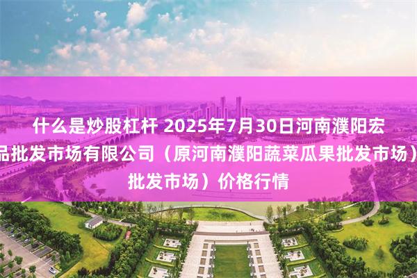 什么是炒股杠杆 2025年7月30日河南濮阳宏进农副产品批发市场有限公司(原河南濮阳蔬菜瓜果批发市场)价格行情