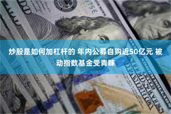 炒股是如何加杠杆的 年内公募自购近50亿元 被动指数基金受青睐