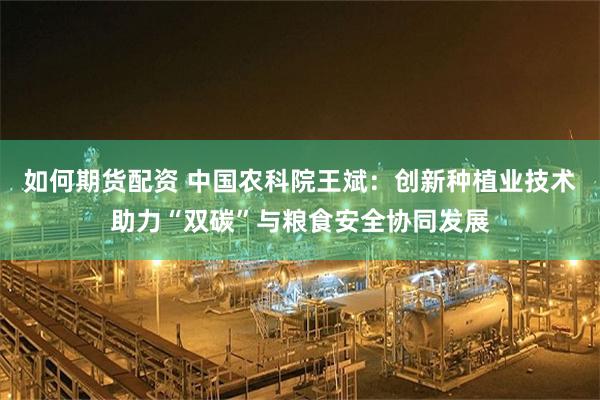 如何期货配资 中国农科院王斌：创新种植业技术助力“双碳”与粮食安全协同发展
