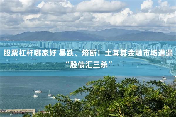 股票杠杆哪家好 暴跌、熔断！土耳其金融市场遭遇“股债汇三杀”
