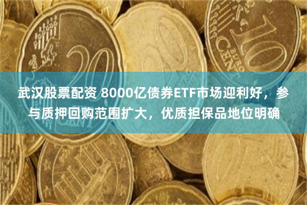 武汉股票配资 8000亿债券ETF市场迎利好，参与质押回购范围扩大，优质担保品地位明确