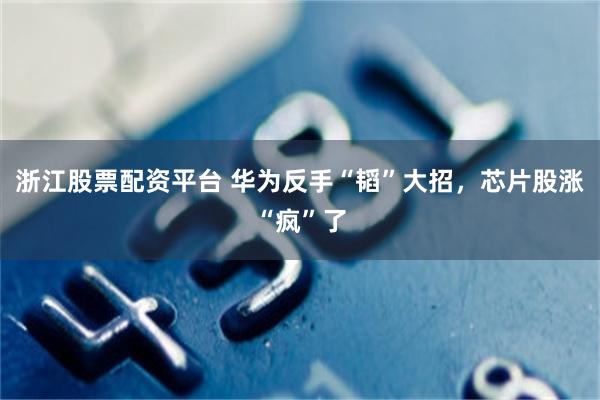 浙江股票配资平台 华为反手“韬”大招，芯片股涨“疯”了