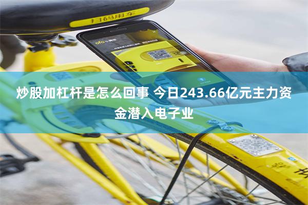 炒股加杠杆是怎么回事 今日243.66亿元主力资金潜入电子业