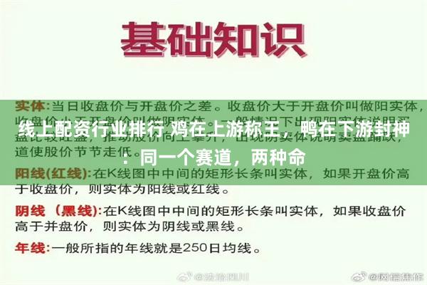 线上配资行业排行 鸡在上游称王，鸭在下游封神：同一个赛道，两种命