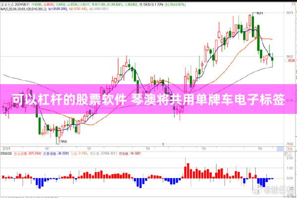 可以杠杆的股票软件 琴澳将共用单牌车电子标签