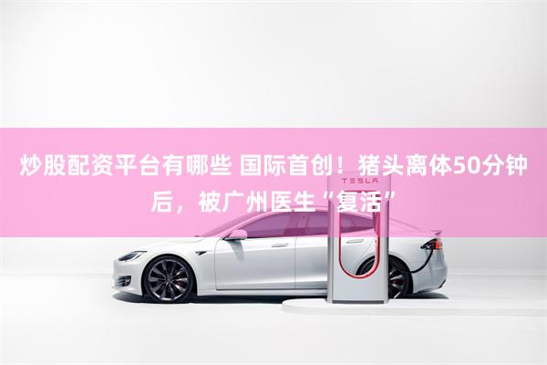 炒股配资平台有哪些 国际首创！猪头离体50分钟后，被广州医生“复活”