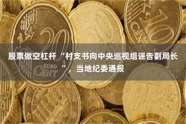 股票做空杠杆 “村支书向中央巡视组诬告副局长”,当地纪委通报