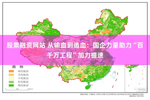 股票融资网站 从输血到造血：国企力量助力“百千万工程”加力提速