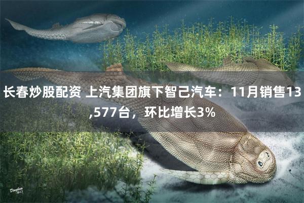 长春炒股配资 上汽集团旗下智己汽车：11月销售13,577台，环比增长3%