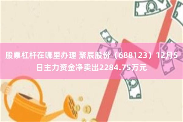 股票杠杆在哪里办理 聚辰股份（688123）12月5日主力资金净卖出2284.75万元