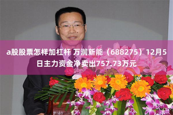 a股股票怎样加杠杆 万润新能（688275）12月5日主力资金净卖出757.73万元