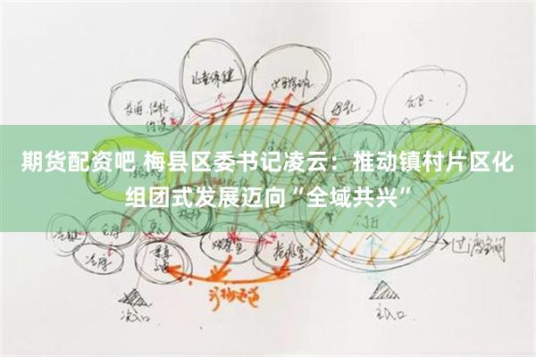 期货配资吧 梅县区委书记凌云：推动镇村片区化组团式发展迈向“全域共兴”
