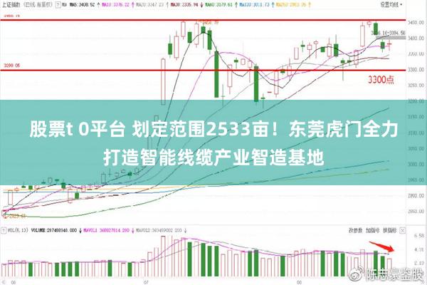 股票t 0平台 划定范围2533亩！东莞虎门全力打造智能线缆产业智造基地