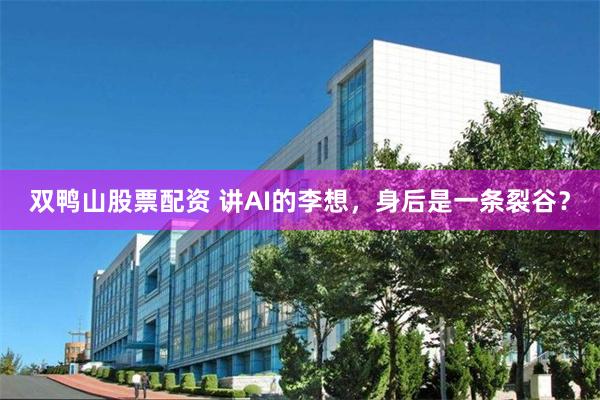 双鸭山股票配资 讲AI的李想，身后是一条裂谷？