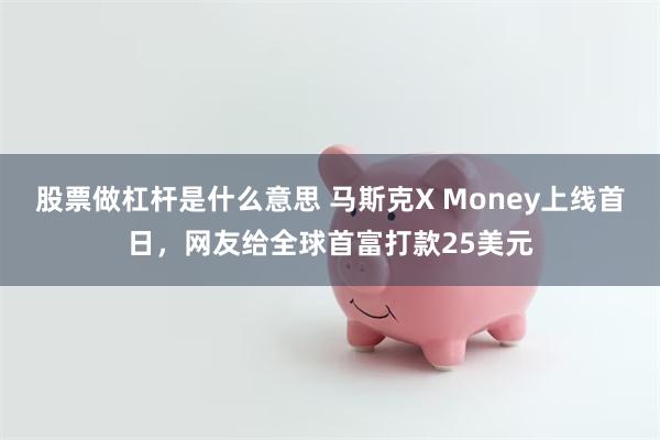股票做杠杆是什么意思 马斯克X Money上线首日,网友给全球首富打款25美元