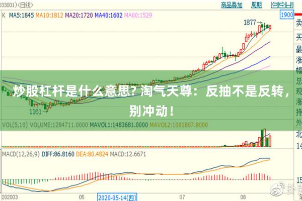 炒股杠杆是什么意思? 淘气天尊：反抽不是反转，别冲动！