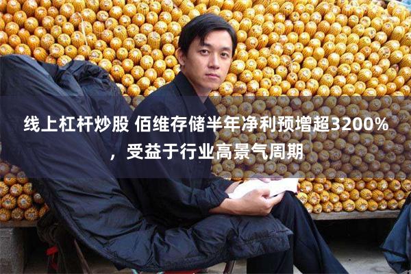 线上杠杆炒股 佰维存储半年净利预增超3200%，受益于行业高景气周期