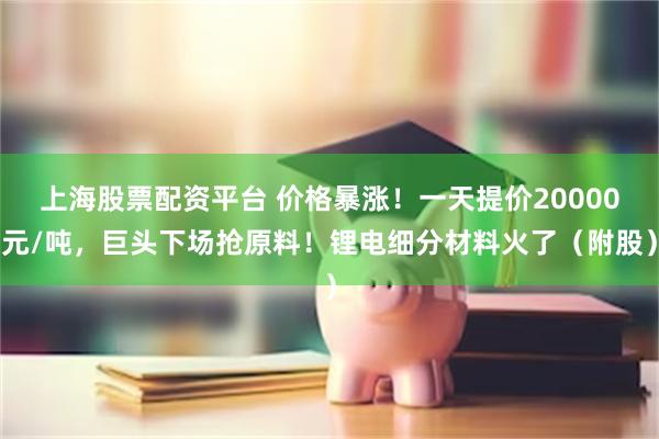 上海股票配资平台 价格暴涨！一天提价20000元/吨，巨头下场抢原料！锂电细分材料火了（附股）
