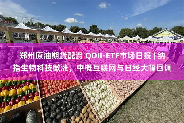 郑州原油期货配资 QDII-ETF市场日报 | 纳指生物科技微涨，中概互联网与日经大幅回调