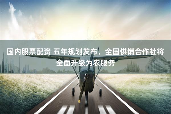 国内股票配资 五年规划发布，全国供销合作社将全面升级为农服务