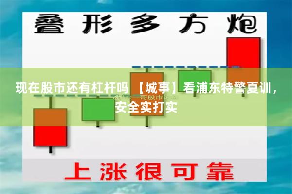 现在股市还有杠杆吗 【城事】看浦东特警夏训，安全实打实