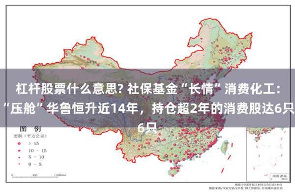 杠杆股票什么意思? 社保基金“长情”消费化工：“压舱”华鲁恒升近14年，持仓超2年的消费股达6只