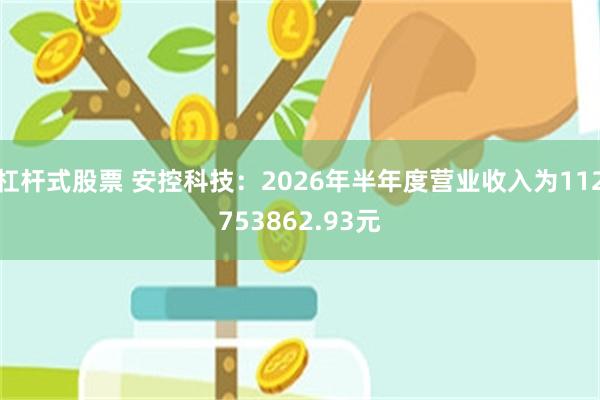 杠杆式股票 安控科技：2026年半年度营业收入为112753862.93元