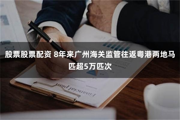 股票股票配资 8年来广州海关监管往返粤港两地马匹超5万匹次