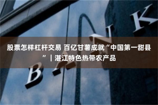 股票怎样杠杆交易 百亿甘薯成就“中国第一甜县”｜湛江特色热带农产品