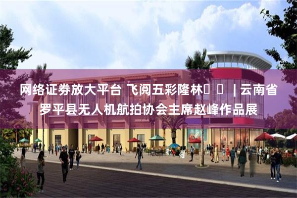 网络证劵放大平台 飞阅五彩隆林​⑫ | 云南省罗平县无人机航拍协会主席赵峰作品展