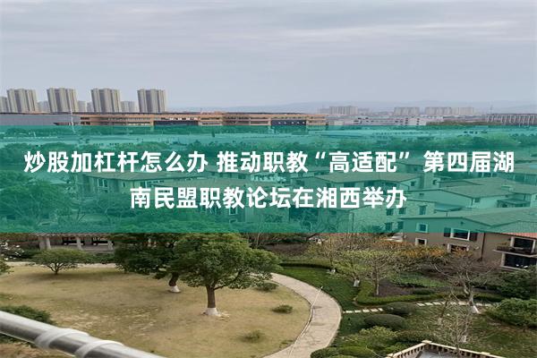 炒股加杠杆怎么办 推动职教“高适配” 第四届湖南民盟职教论坛在湘西举办